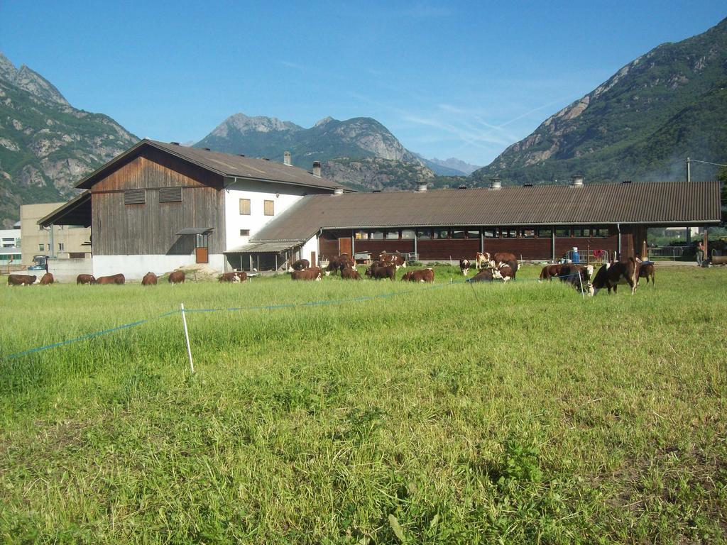 Agriturismo La Grange Pont-Saint-Martin Ngoại thất bức ảnh