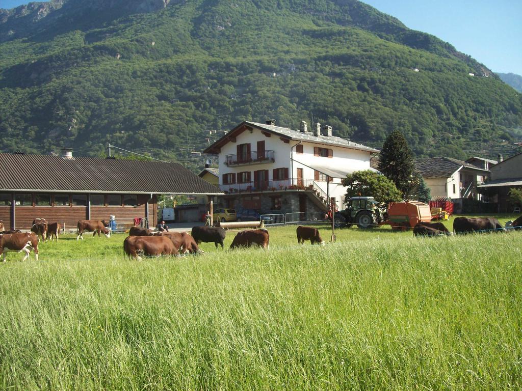 Agriturismo La Grange Pont-Saint-Martin Ngoại thất bức ảnh