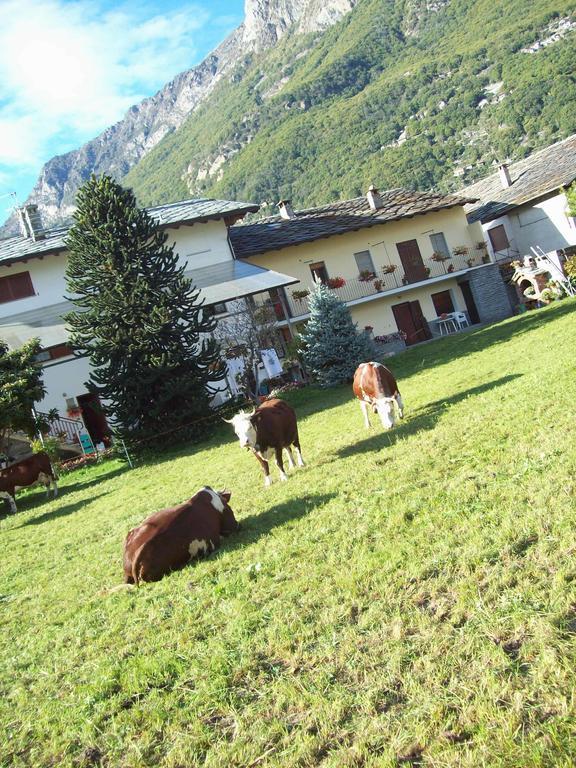 Agriturismo La Grange Pont-Saint-Martin Ngoại thất bức ảnh