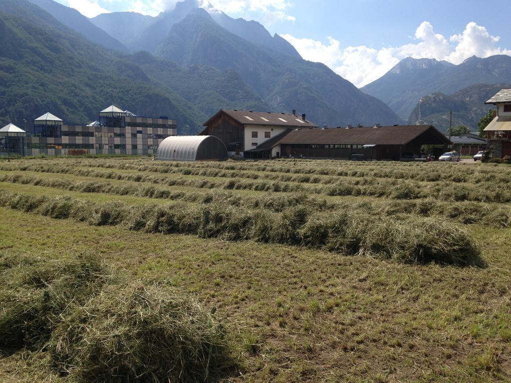Agriturismo La Grange Pont-Saint-Martin Ngoại thất bức ảnh