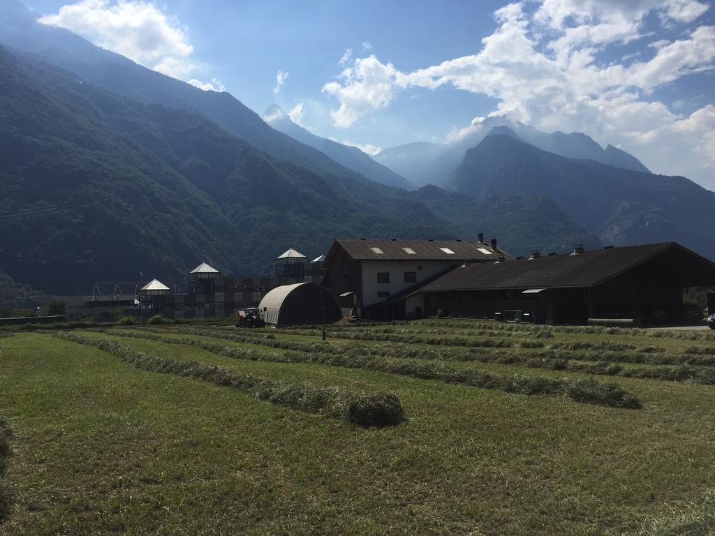 Agriturismo La Grange Pont-Saint-Martin Ngoại thất bức ảnh