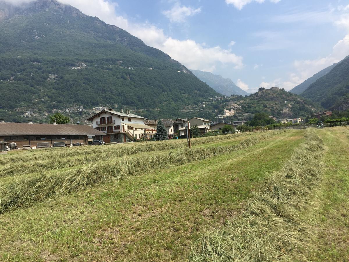 Agriturismo La Grange Pont-Saint-Martin Ngoại thất bức ảnh